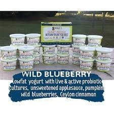 Nugget&#39;s Smart Snacks Artisan Frozen Yogurt for Dogs, Color: Blueberry 3.5oz