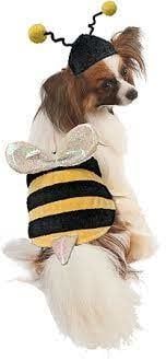 Fashion Pet Halloween Costume, Color: Bumble Bee, Size: XS/S