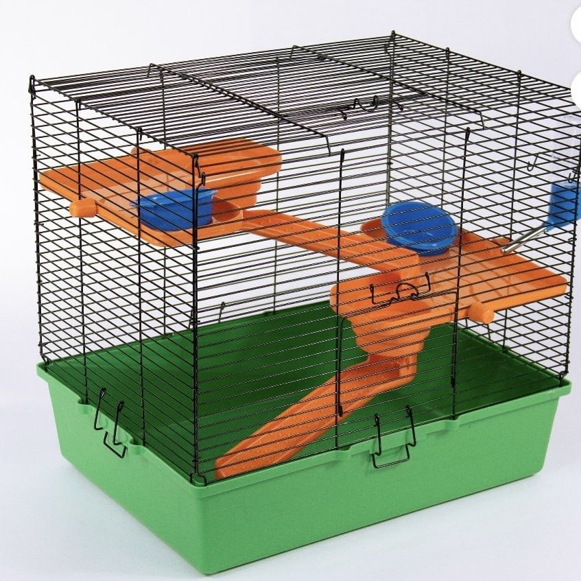 Hamster habitat