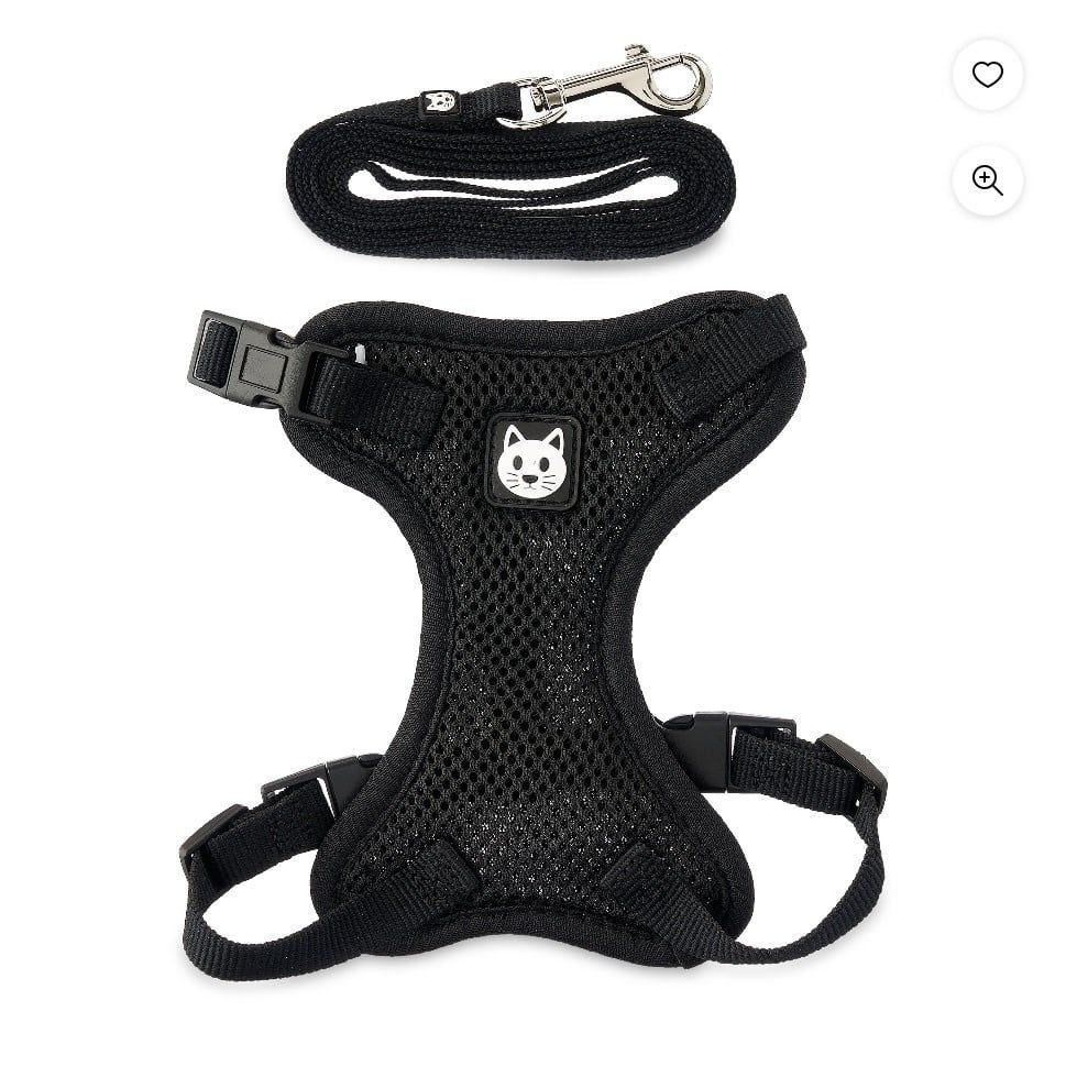 VibrantLife Harness &amp; Leash for Small Cat