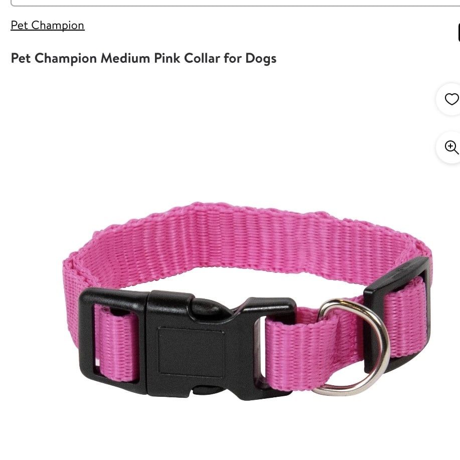 Pet Champion Medium Pink Collar for Dogs