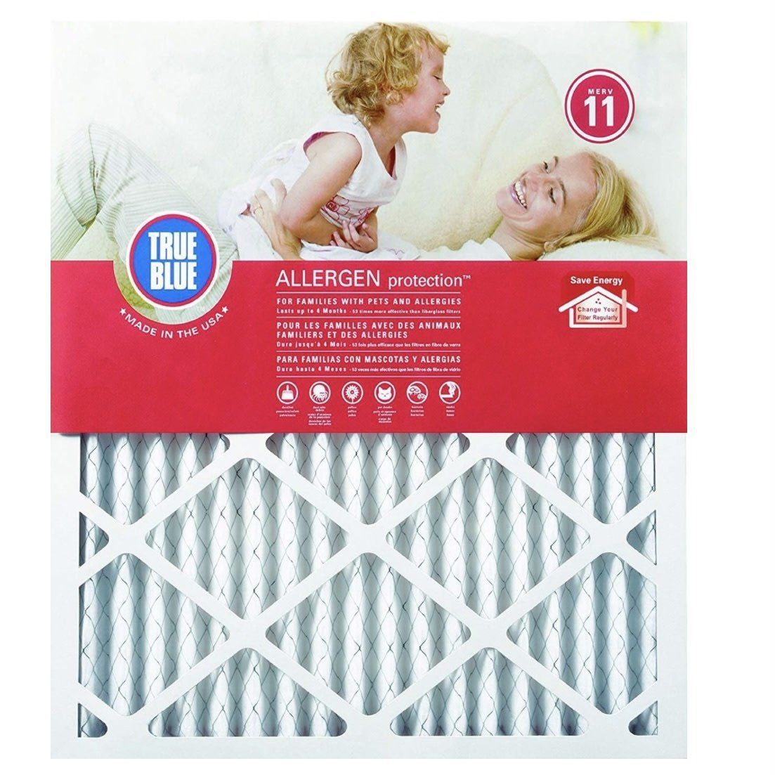 TrueBlue Air Filters 12x30x1