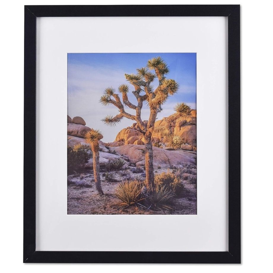 20x24 picture frame