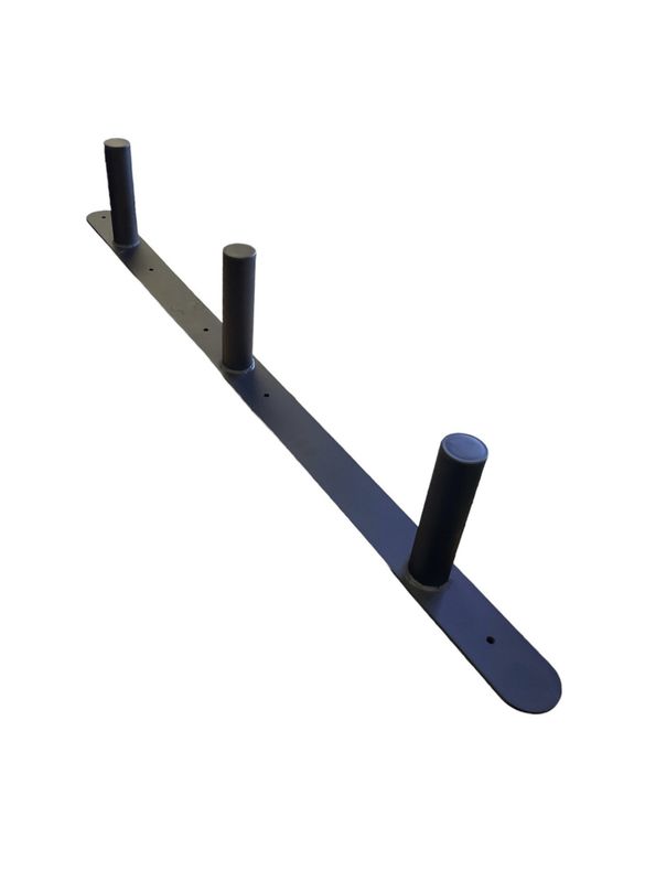 Wall mount weght plate organizer