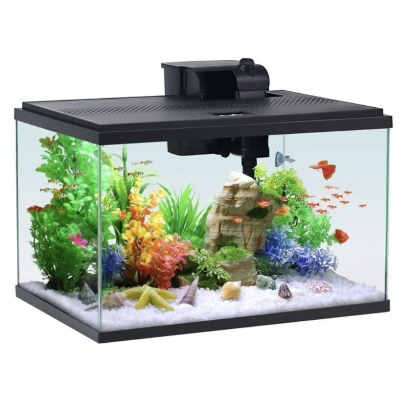 10- Gallon Starter Aquarium