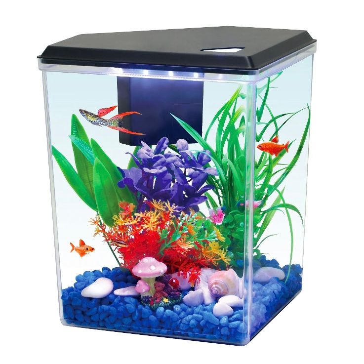 Aqua Culture  2.5 Gallon  Plastic Aquarium , Black