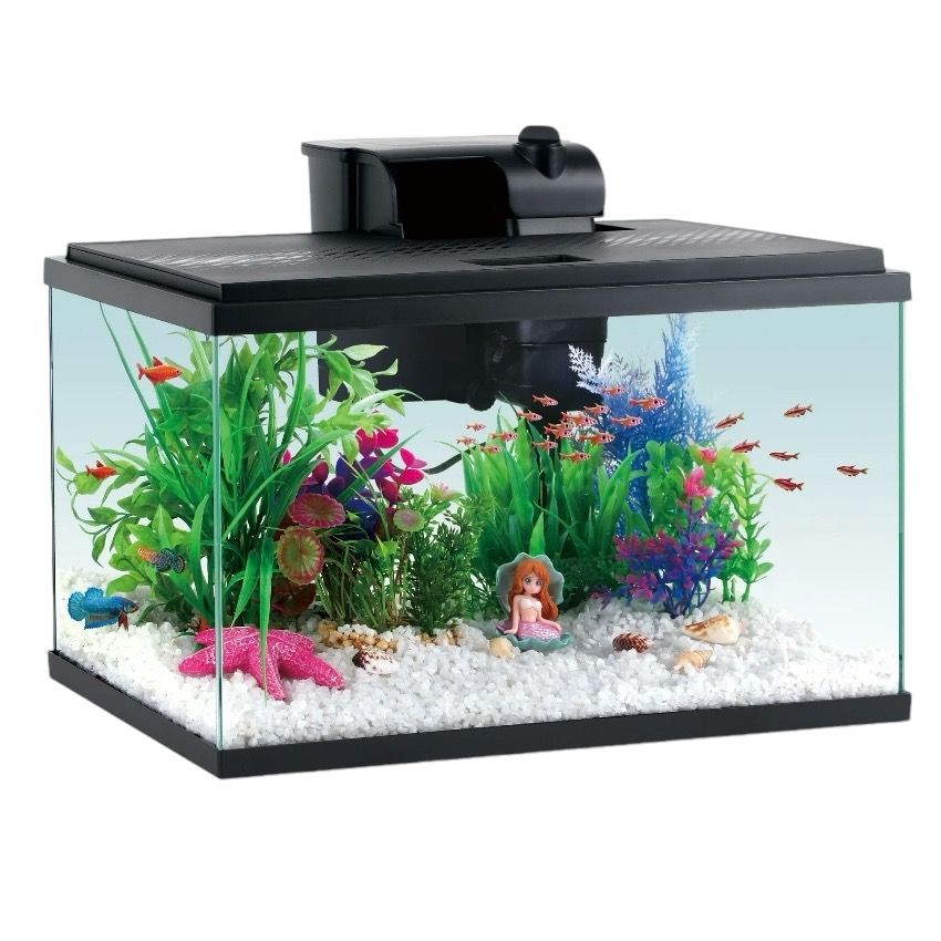 Aqua Culture 5 Gallon Glass Aquarium Starter Kits