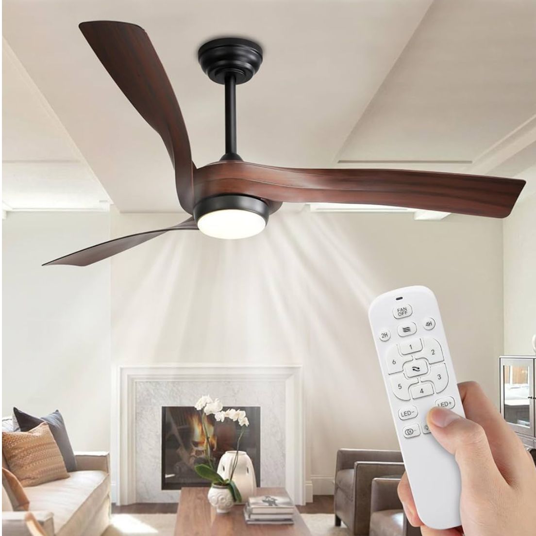 Modern ceiling fan with light