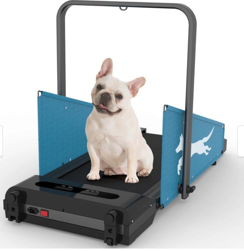 Dog treadmill 220lb max