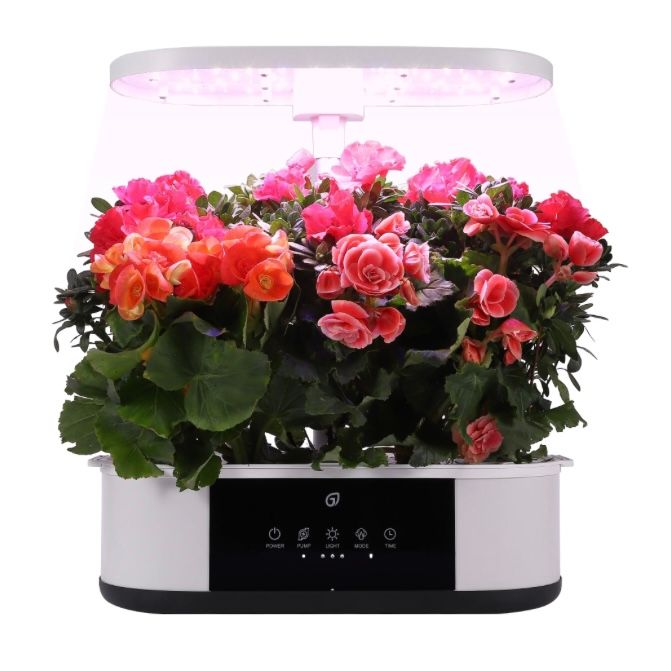 Hydroponic Indoor Growing System