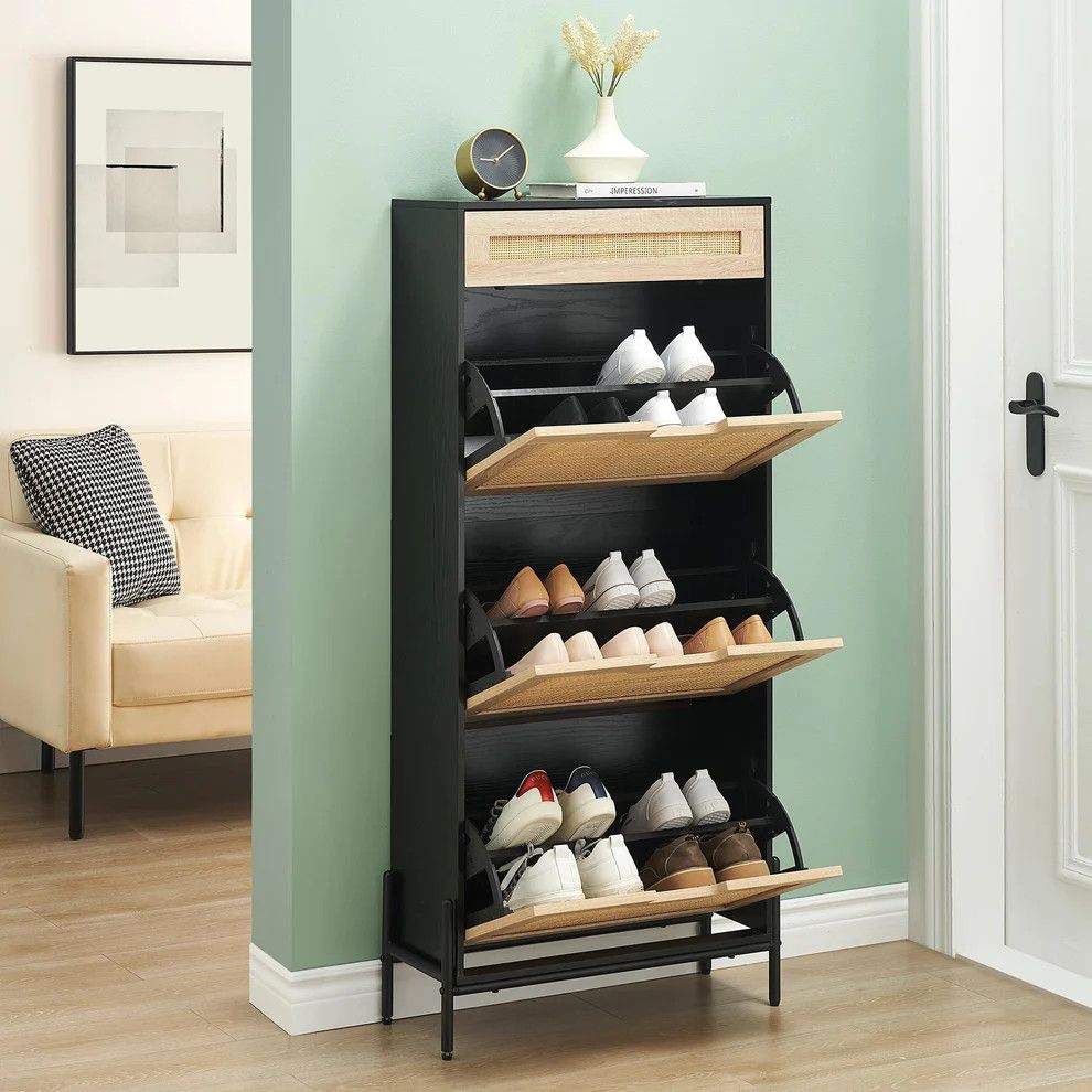 Shoe Cabinet Organizer