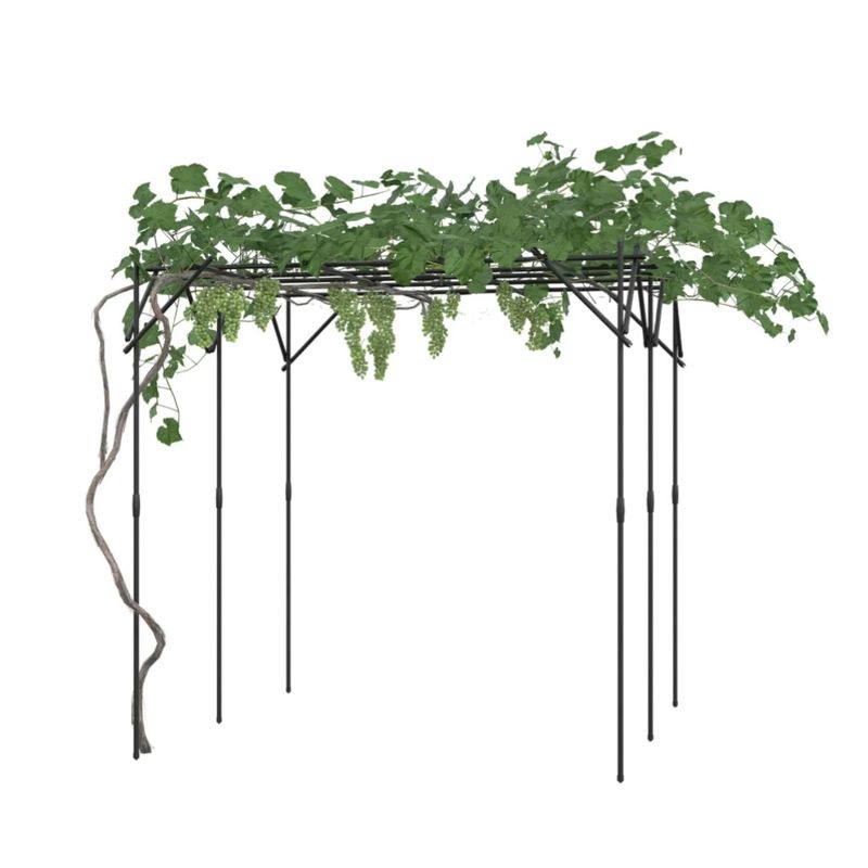 Arch Trellis for Climbing Plants, 6.62 Ft
