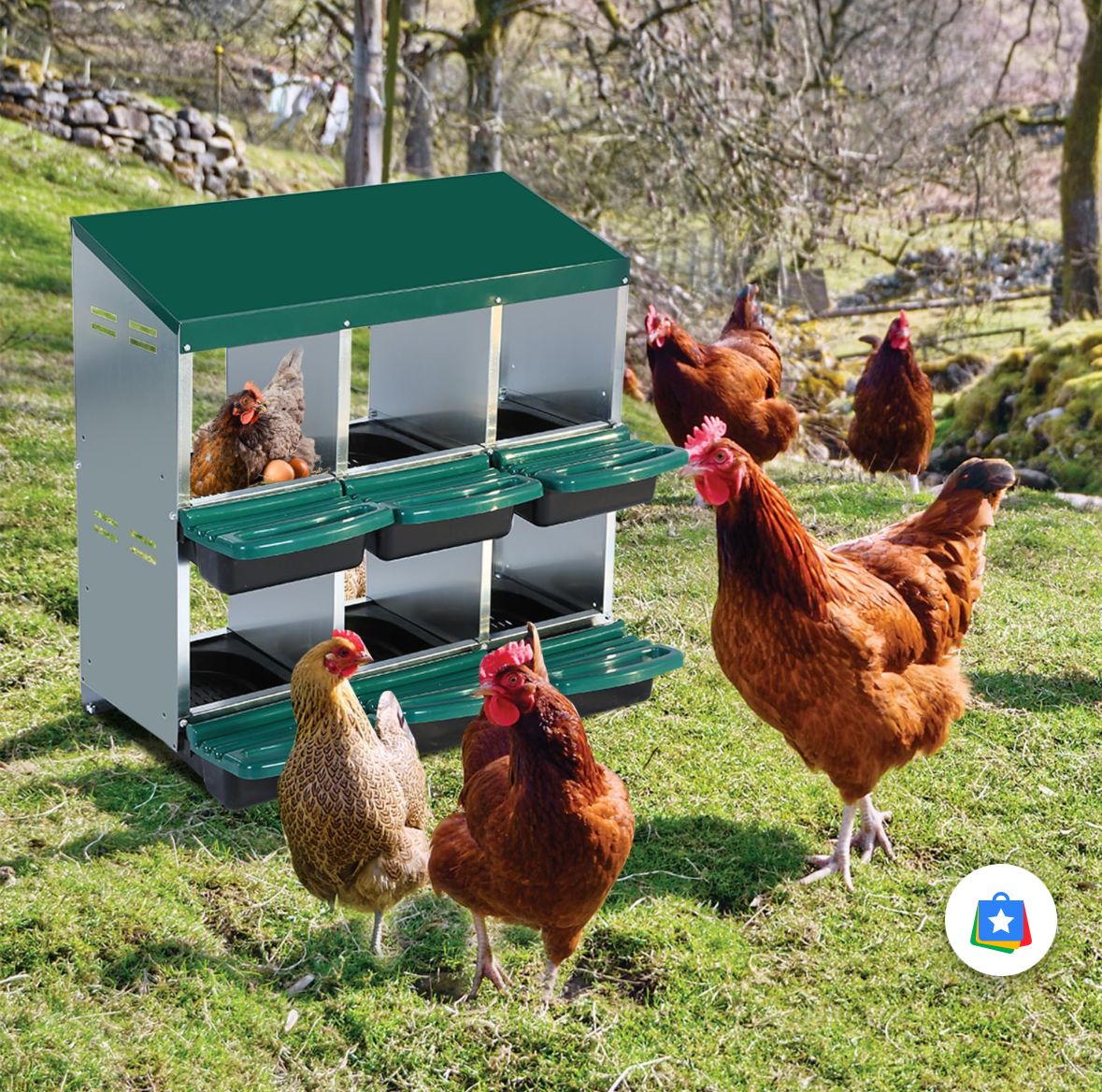 Nesting Boxes for Chickens, 6 Compartment