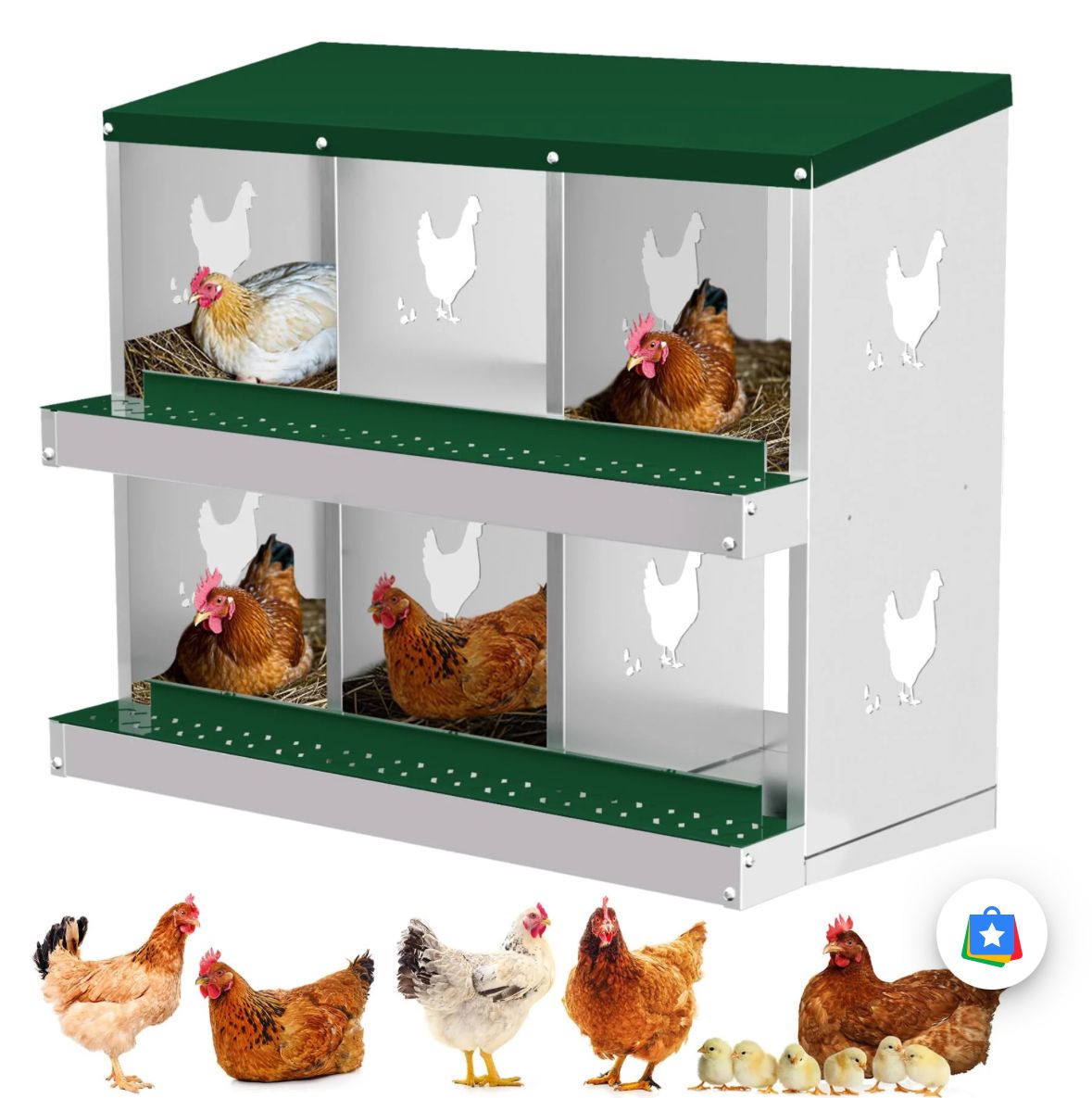 Nesting Boxes for Chickens, 6 Compartment
