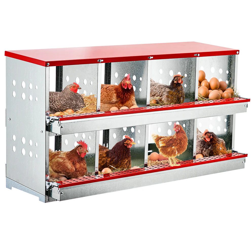 Nesting Boxes for Laying Eggs, 8 Compartment