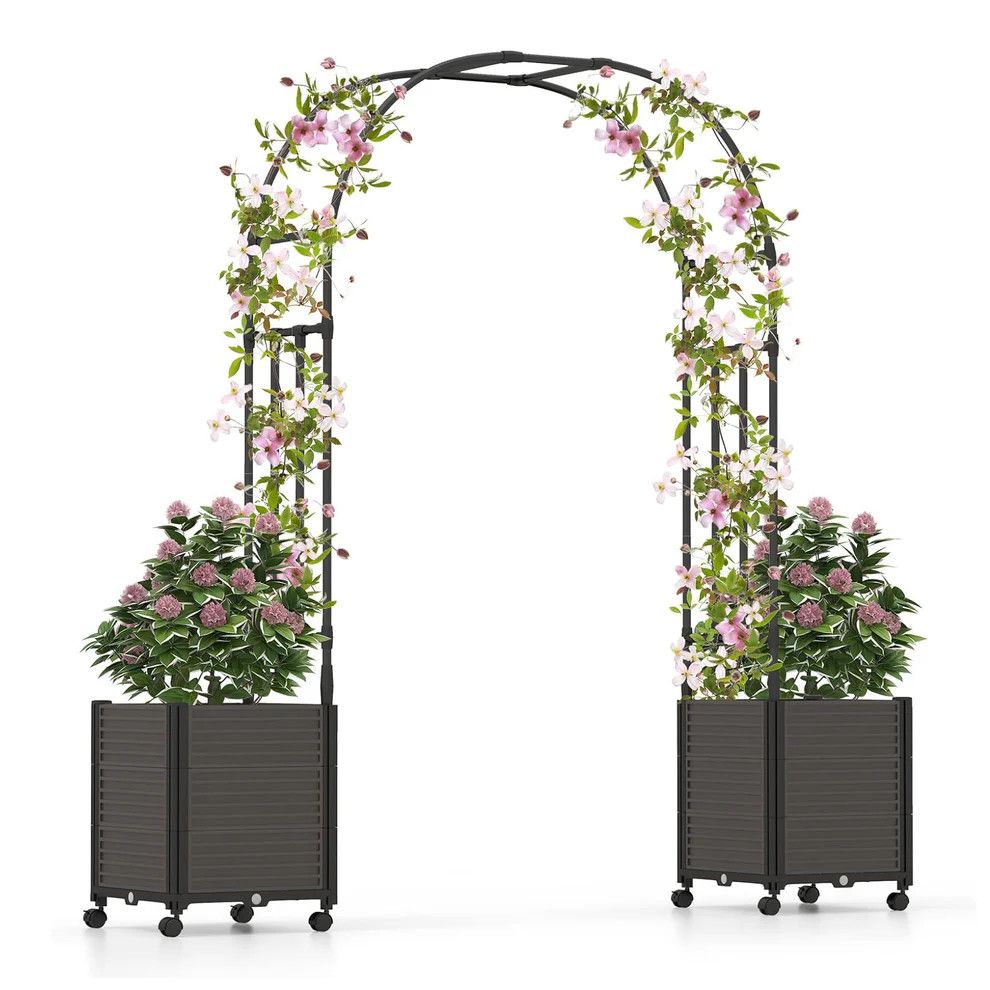 Garden Arch Trellis for Climbing Plants, Metal Wedding Arch Flowers