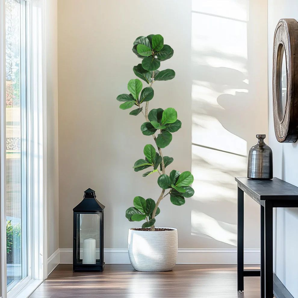 6ft Artificial Rubber Tree Faux Plant