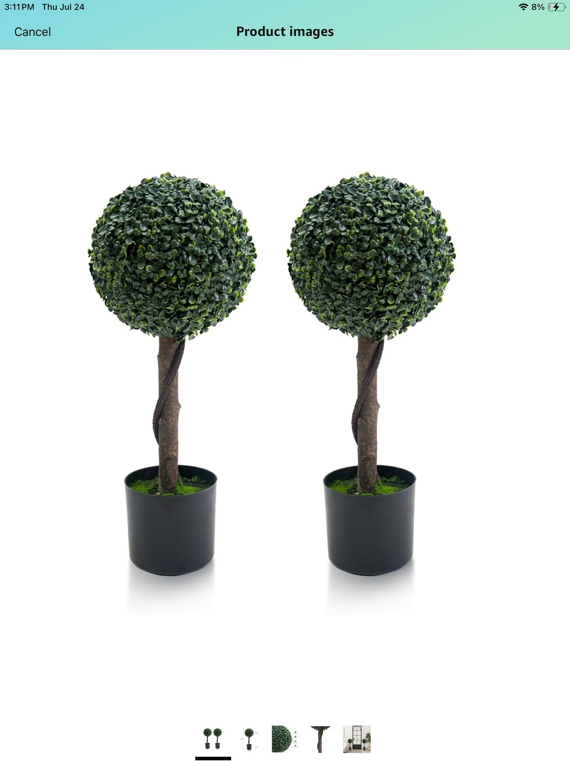 Topiary trees set of 2