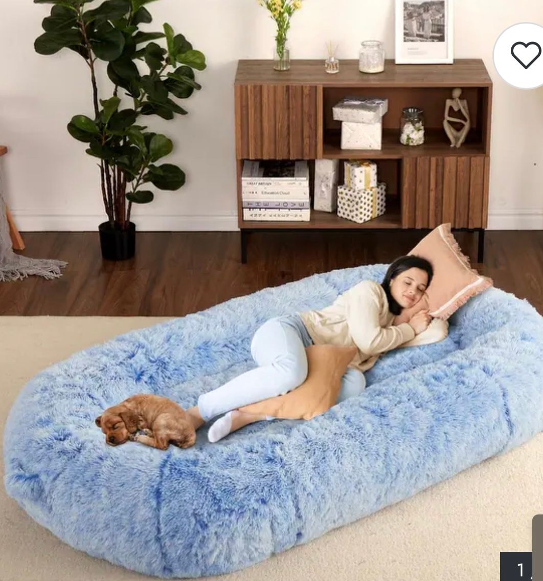 Human size dog bed - light blue
