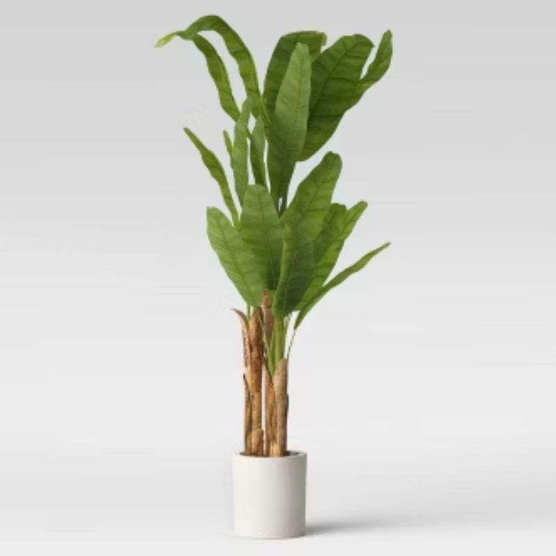 72&quot; Banana Tree in Cement Pot  - Threshold