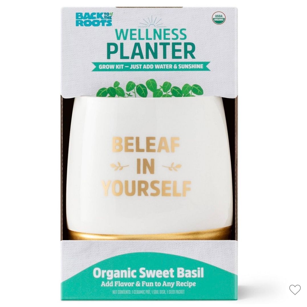 Lemon Balm Planter Grow Kit with Pot Soil and Seeds
