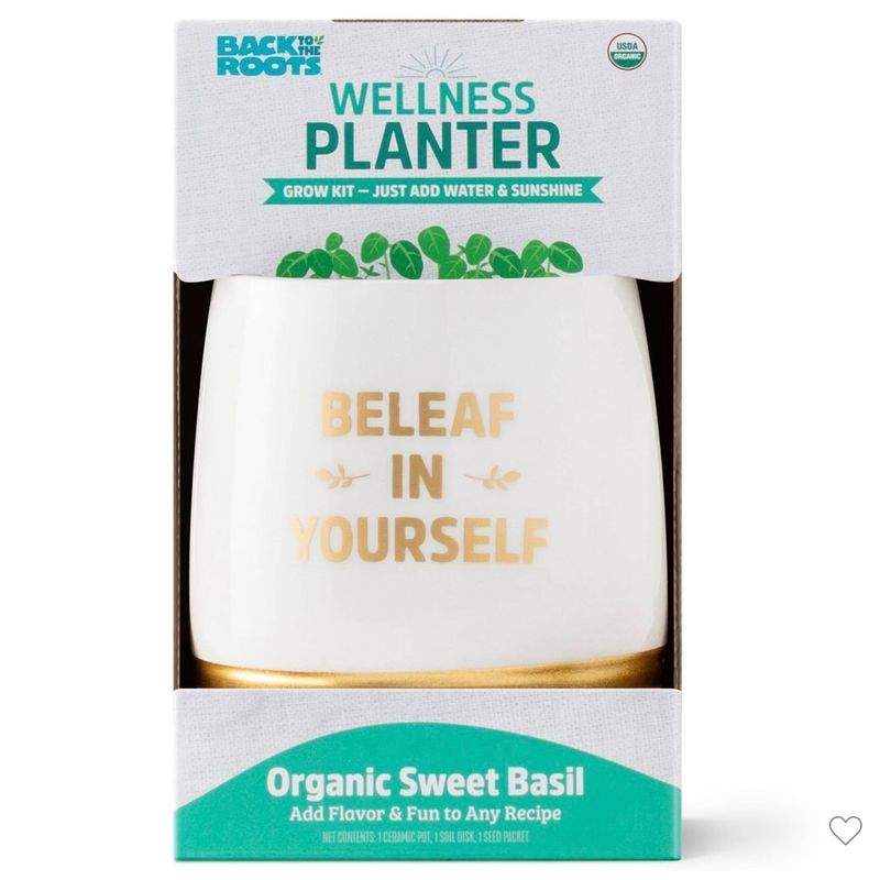 Lemon Balm Planter Grow Kit with Pot Soil and Seeds