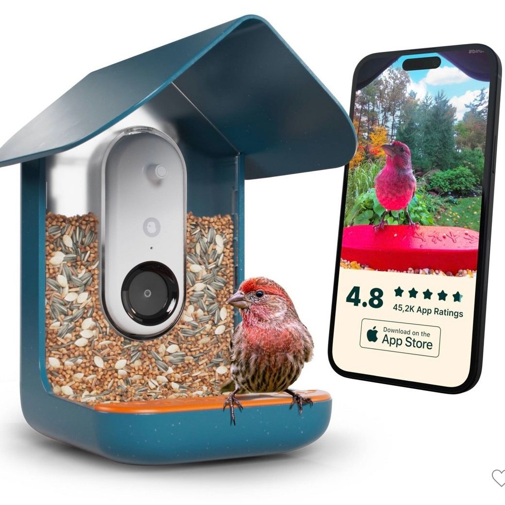 Bird Buddy Outdoor Bird Feeder Kit 9&quot; - Blue
