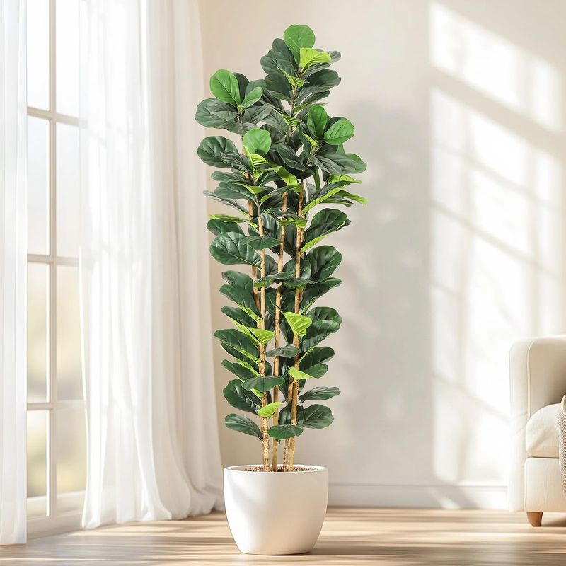 6 ft fiddle leaf fig tree