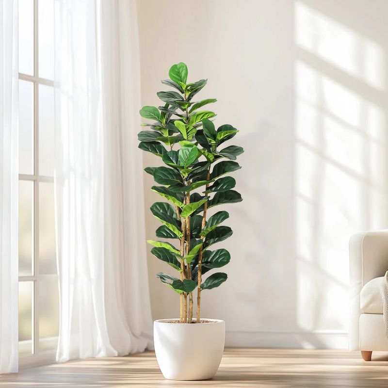 5 ft fiddle leaf fig tree
