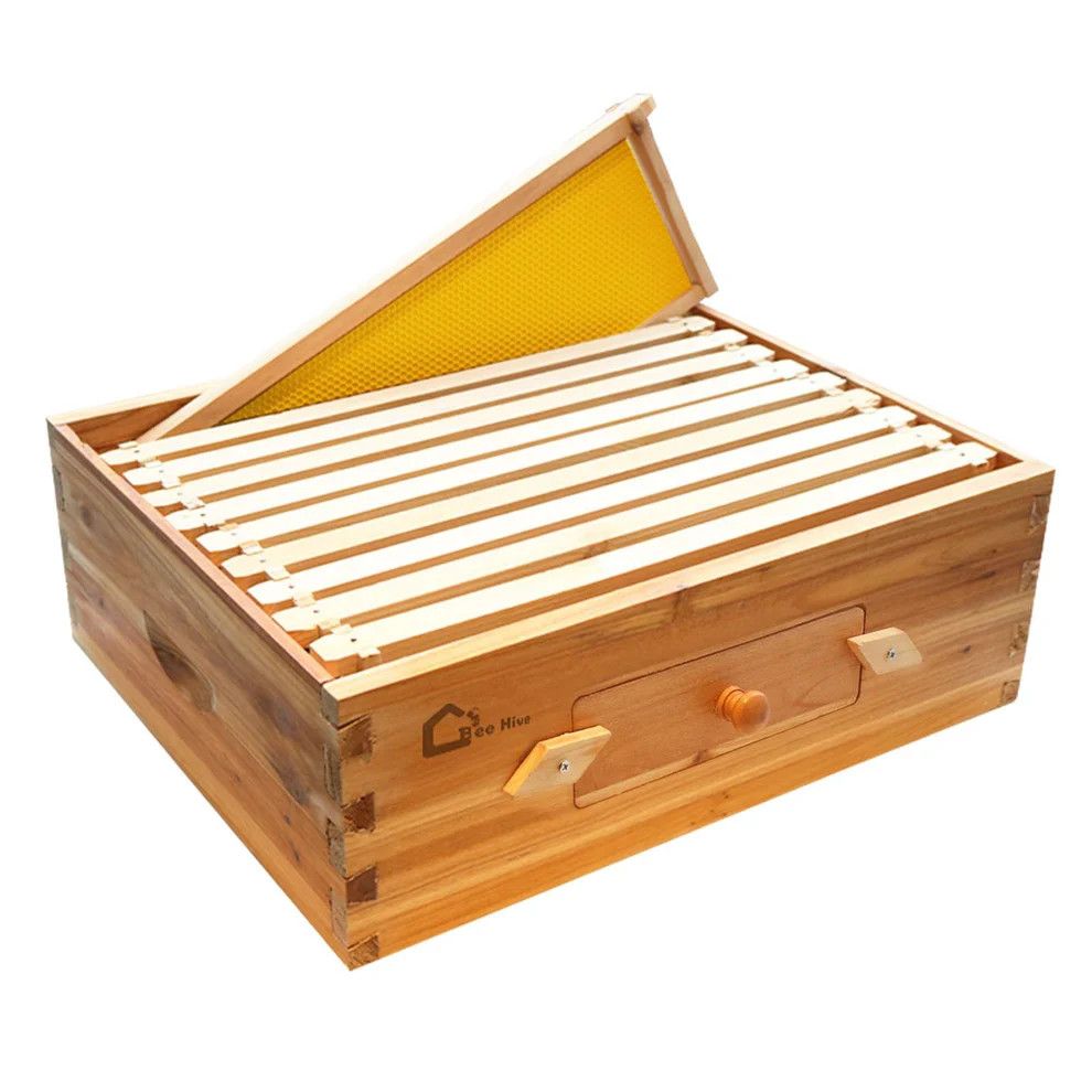 Bee hive - 20”x16”x7”