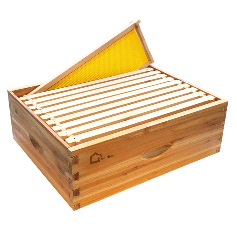 10 frame bee hive box