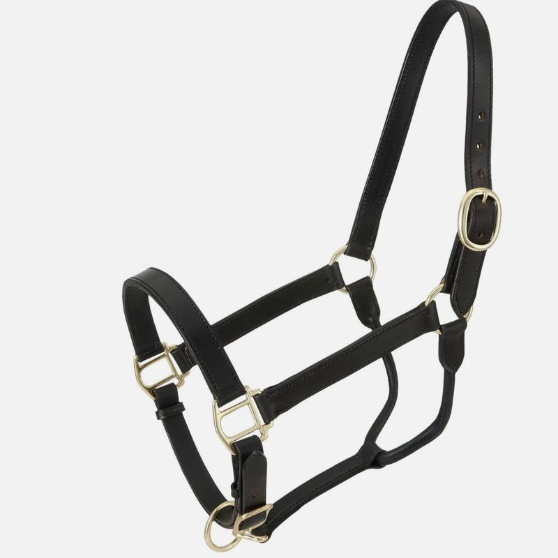 Tough 1 Royal King Leather Stable Halter, Black