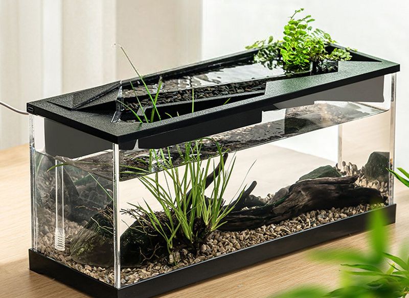 Small rectangular fish tank w/pump