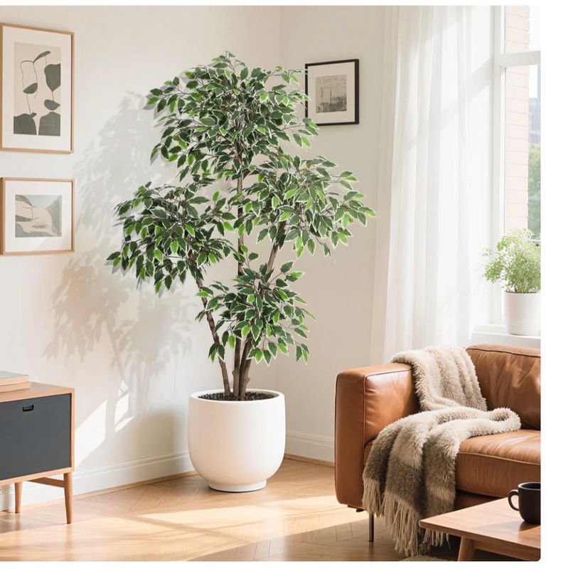 6ft Artificial Ficus Tree