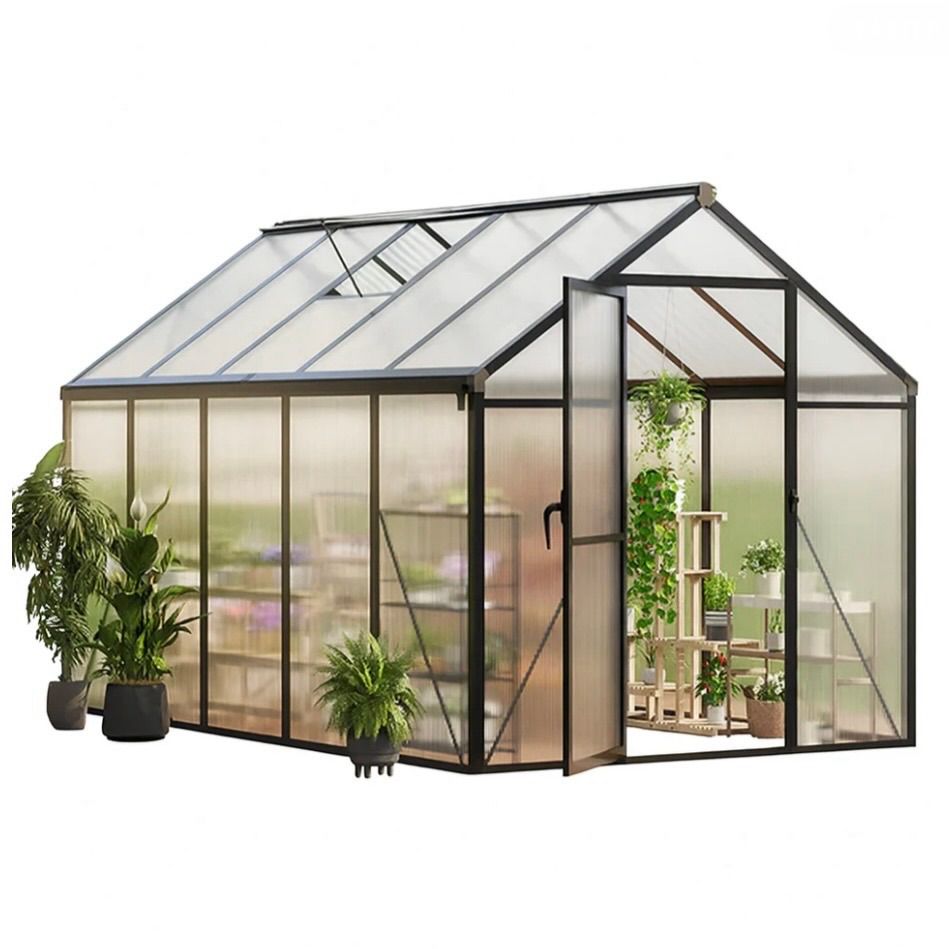 6x10 FT Walk-in Greenhouse