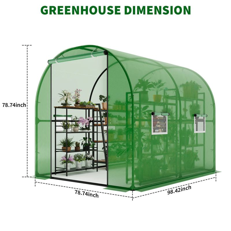 Large Walk-in Greenhouse Tunnel 78x78x98
