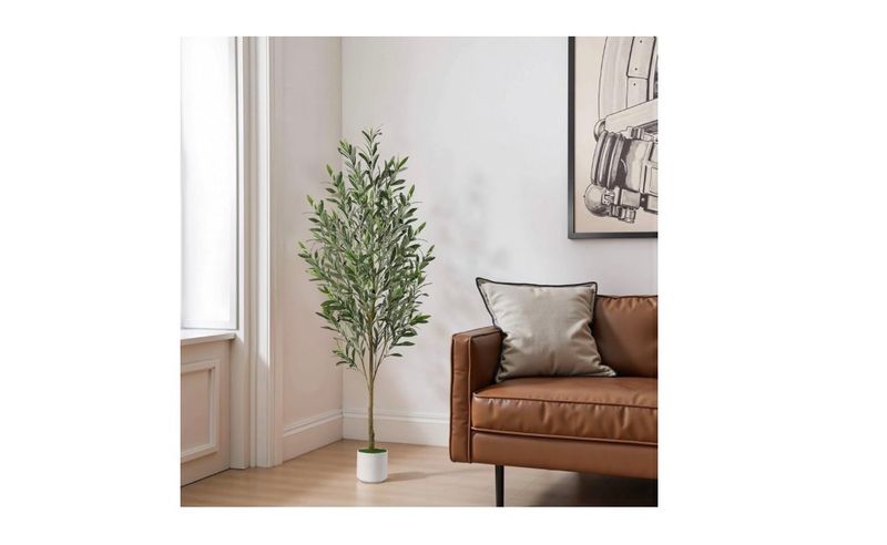 5 FT Artificial Olive Trees, White Planter