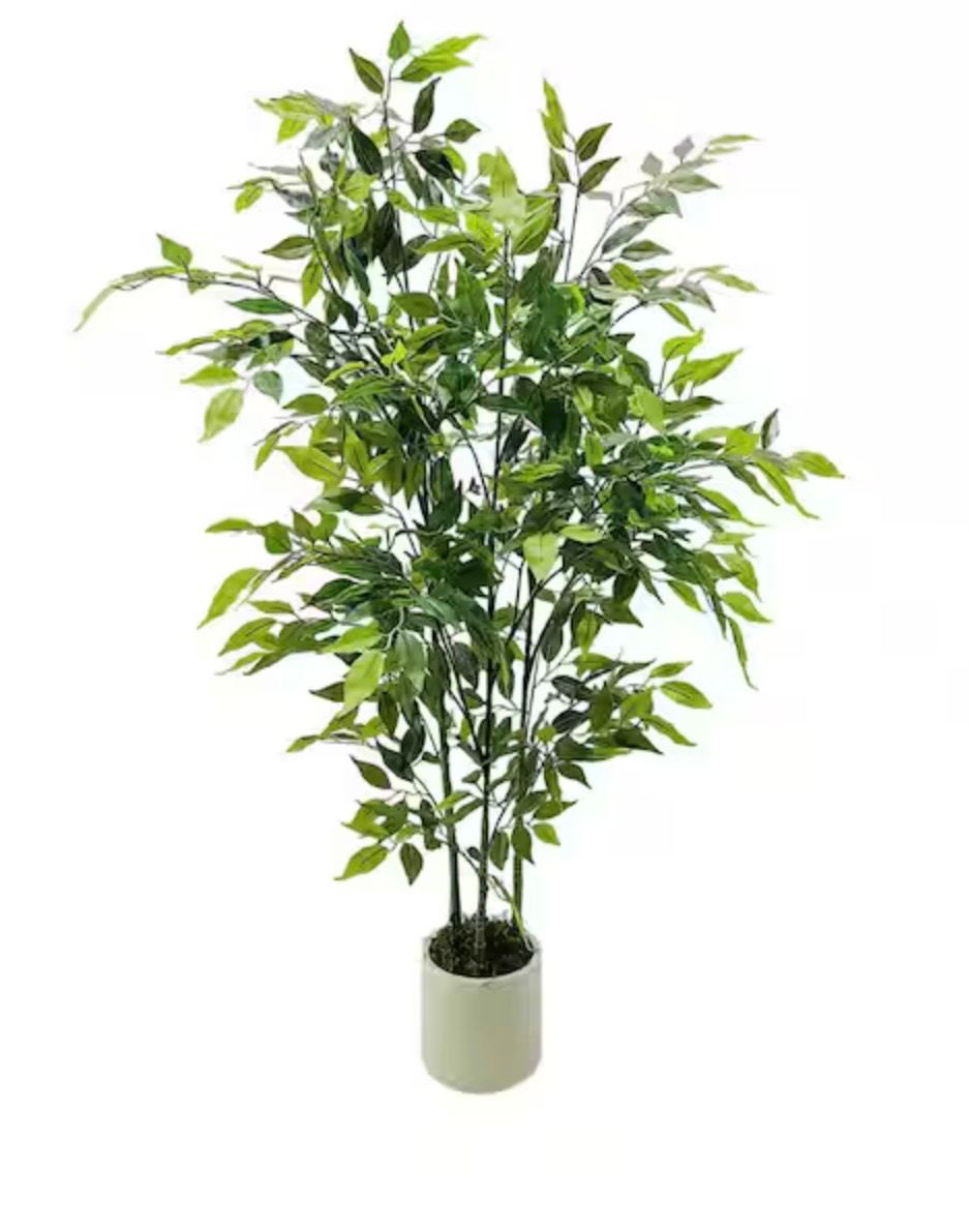 5 ft. Artificial Ficus Tree, White Planter