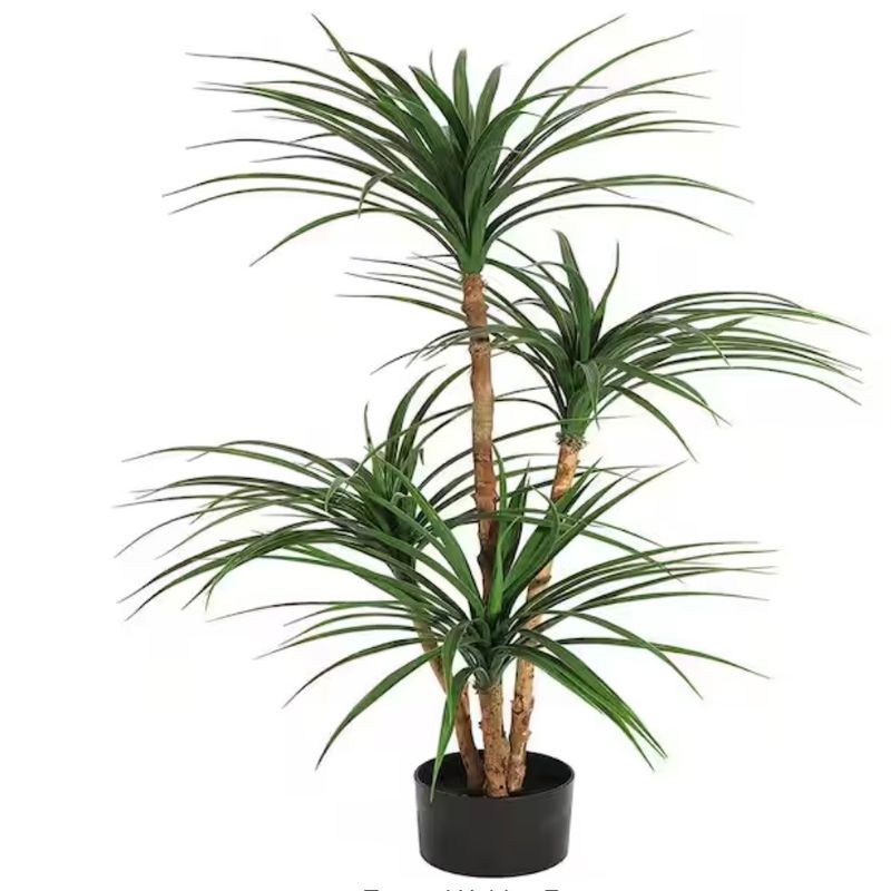 5 ft. Tall Artificial Dracaena Tree
