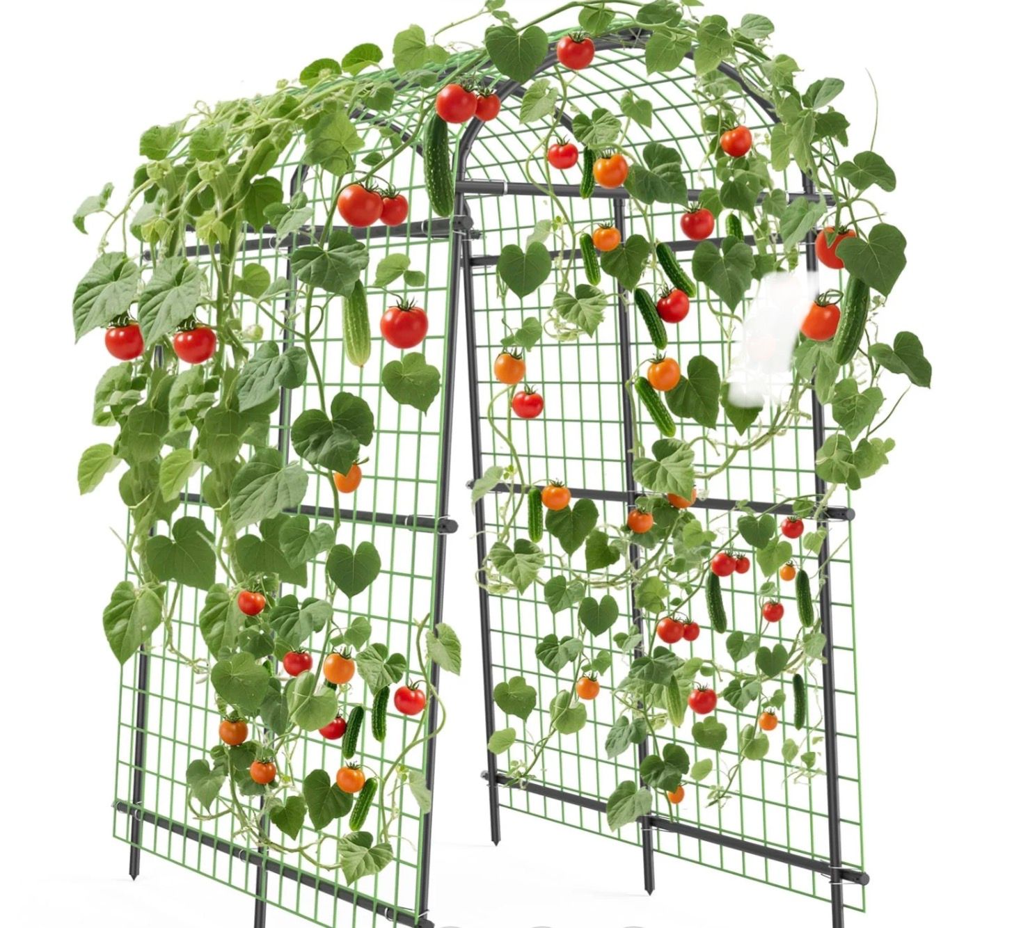 7.5FT Garden Arch Trellis with Netting
