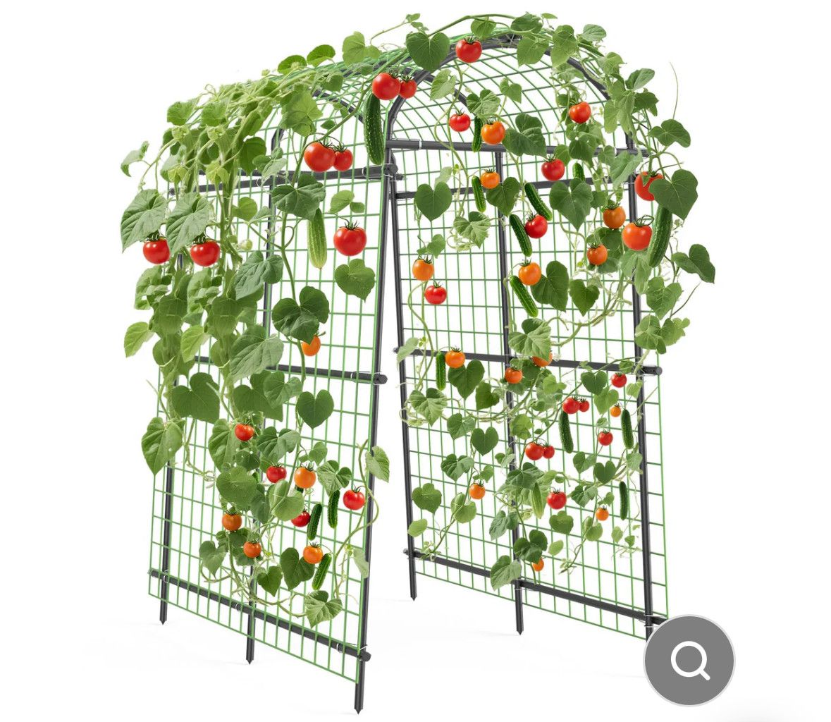 7.5 ft arched trellis