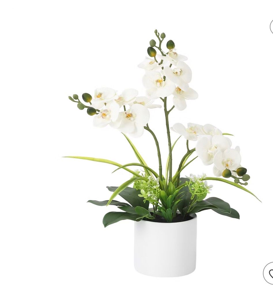 Real Touch Green Orchid Artificial Flower, White Vase