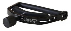 Paige KP6EW 6 String Guitar Wide Profile With Radius