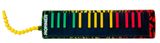 Hohner Airboard 37 Key Melodica Rasta Print