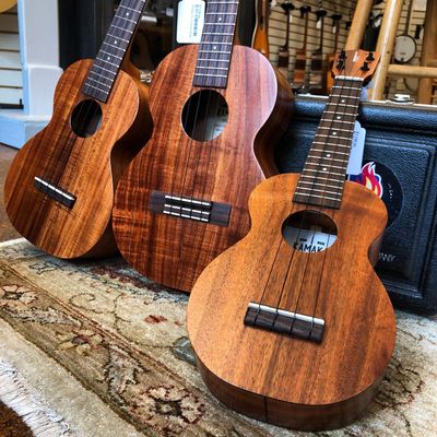 Concert Ukuleles