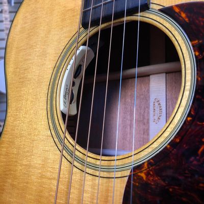 Pickups, Amps &amp; Electronics