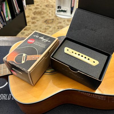 Electric &amp; Acoustic Guitar Pickups