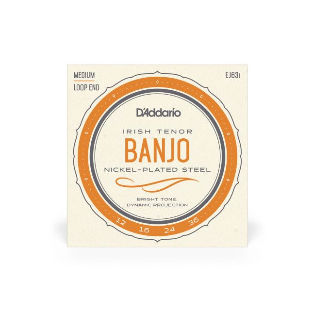 D&#39;Addario EJ63i Irish Tenor Banjo Strings, Nickel, 12-36