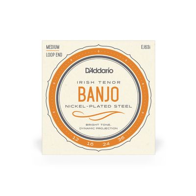 D&#39;Addario EJ63i Irish Tenor Banjo Strings, Nickel, 12-36