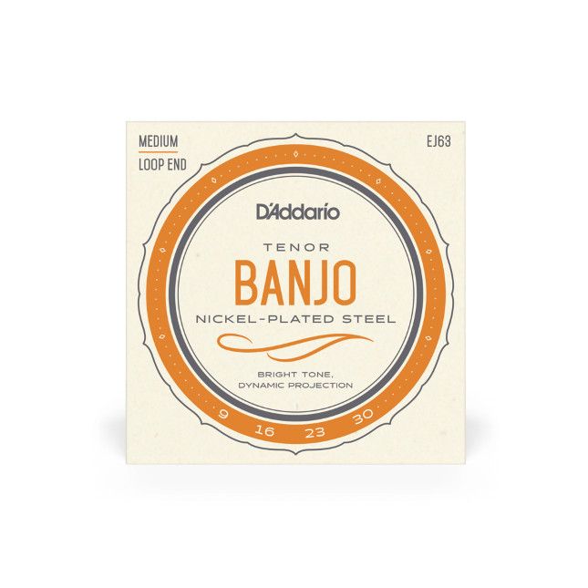 D&#39;Addario EJ63 Tenor Banjo Strings, Nickel, 9-30